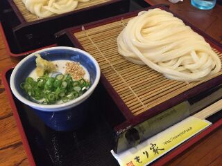 もりや　うどん.jpg