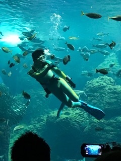 江ノ島水族館④.jpg