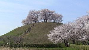 丸墓山古墳　写真.jpg