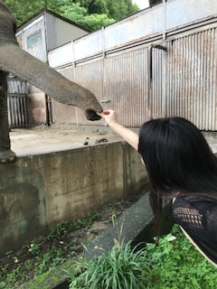 宇都宮動物園④.jpg