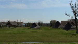 登呂遺跡１.jpg